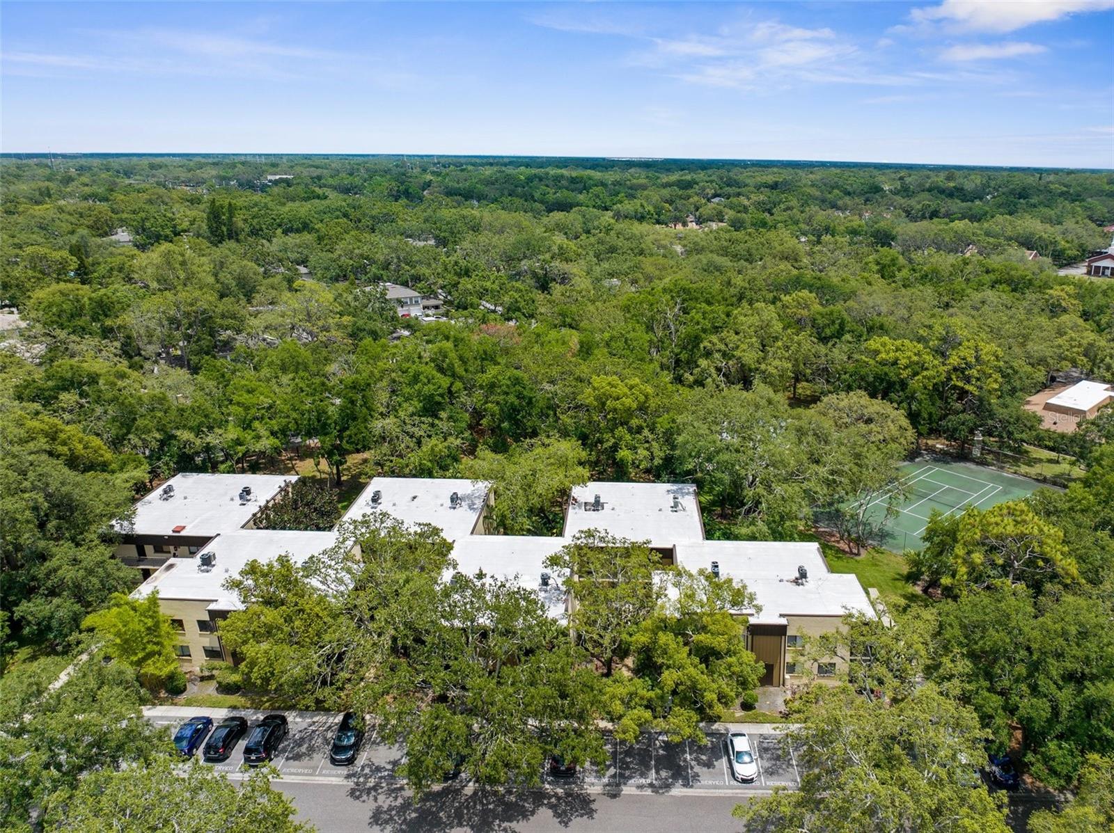 11805 RAINTREE LAKE LN #A