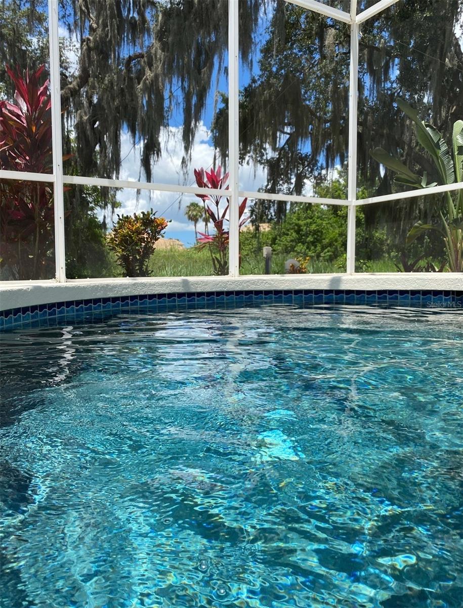 1178 FRASER PINE BLVD