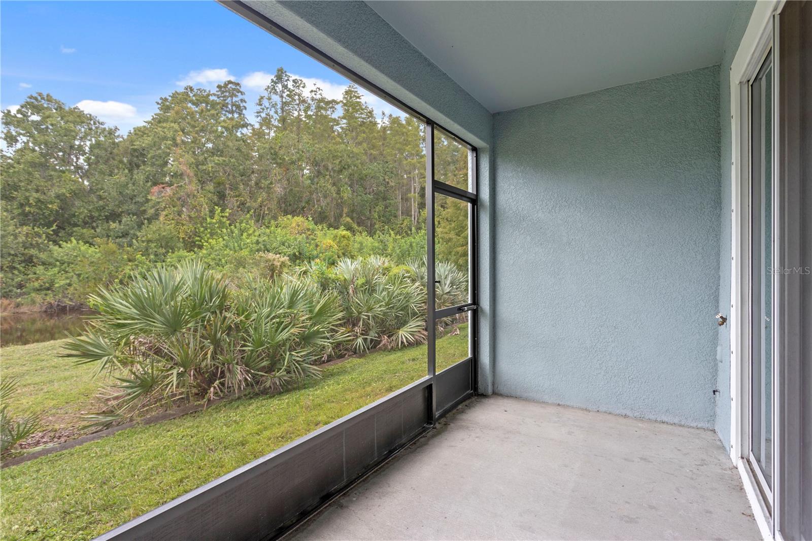 17812 ALTHEA BLUE PL