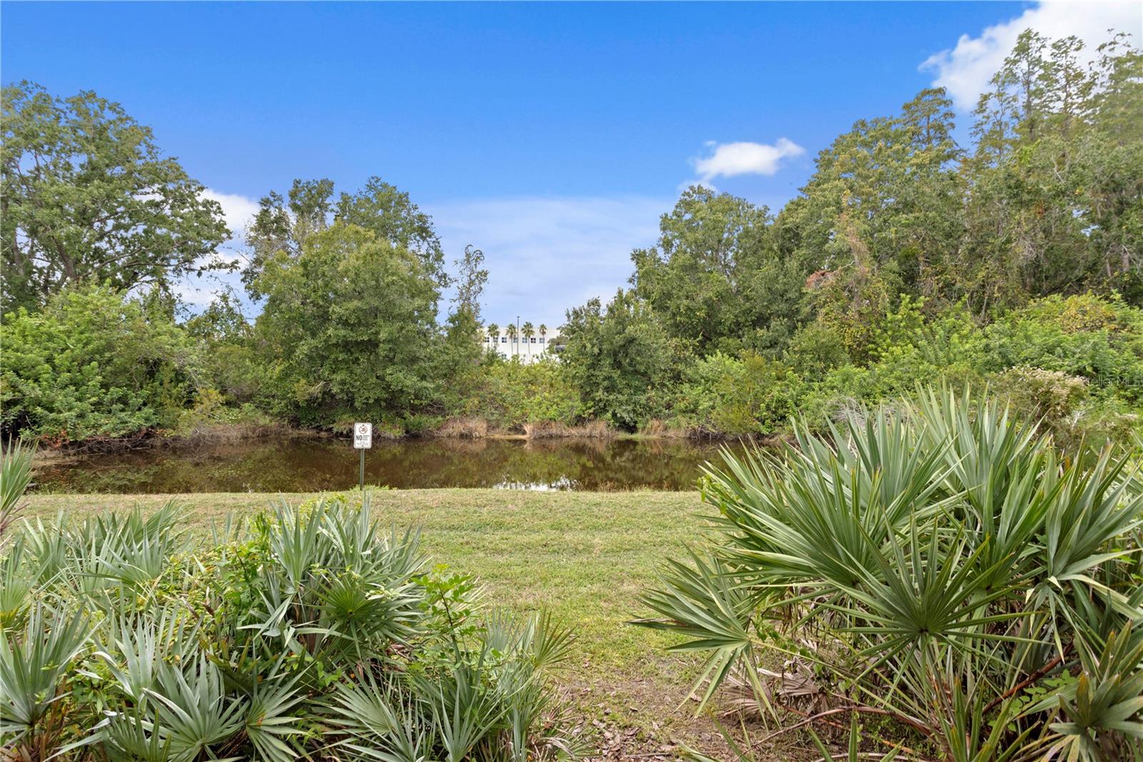 17812 ALTHEA BLUE PL