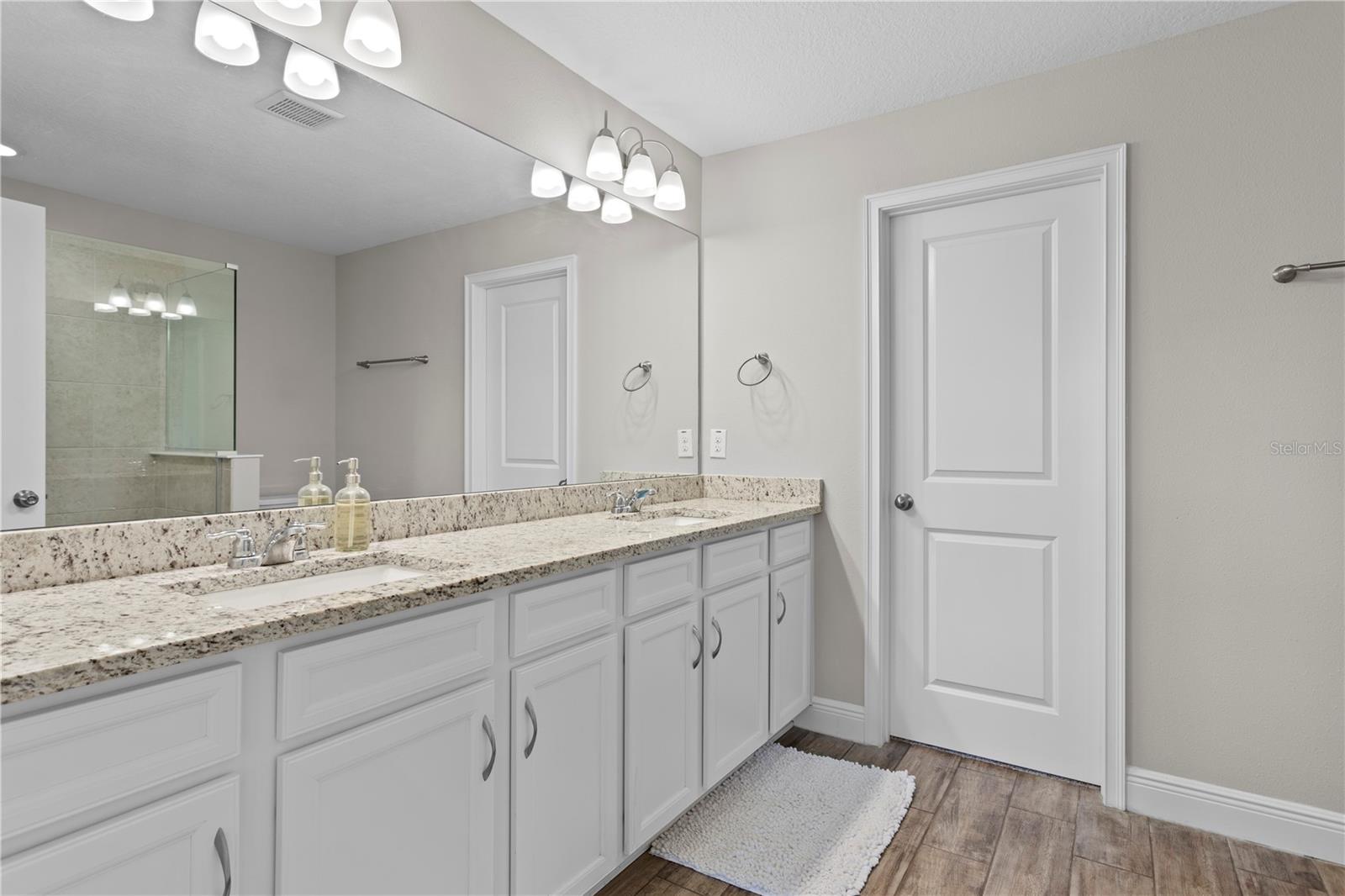 17812 ALTHEA BLUE PL