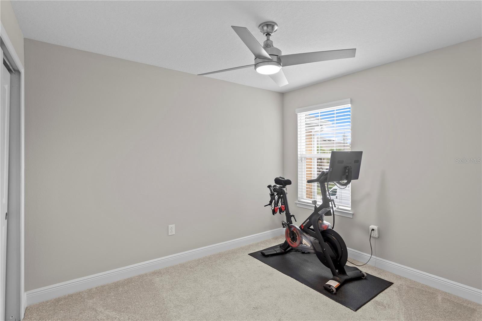 17812 ALTHEA BLUE PL