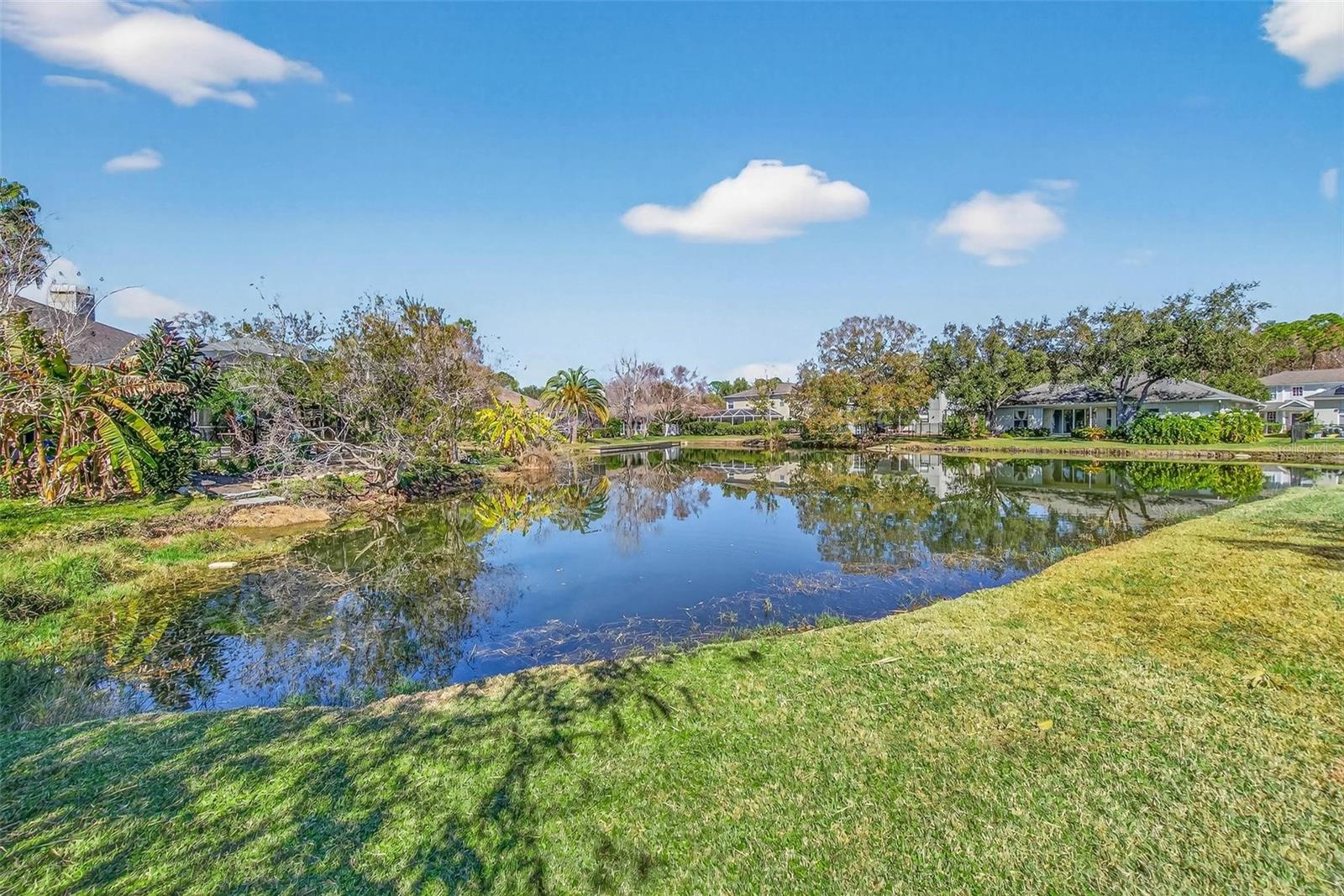 1006 ROBINWOOD DR