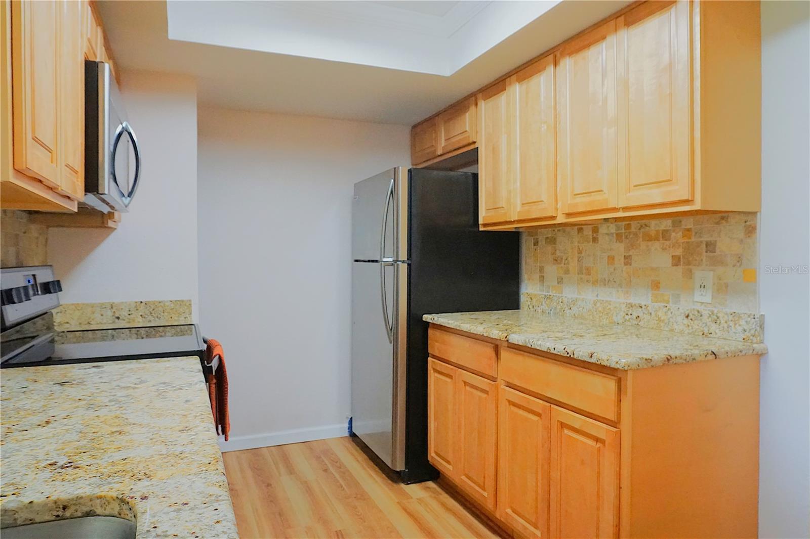 13152 VILLAGE CHASE CIR #1