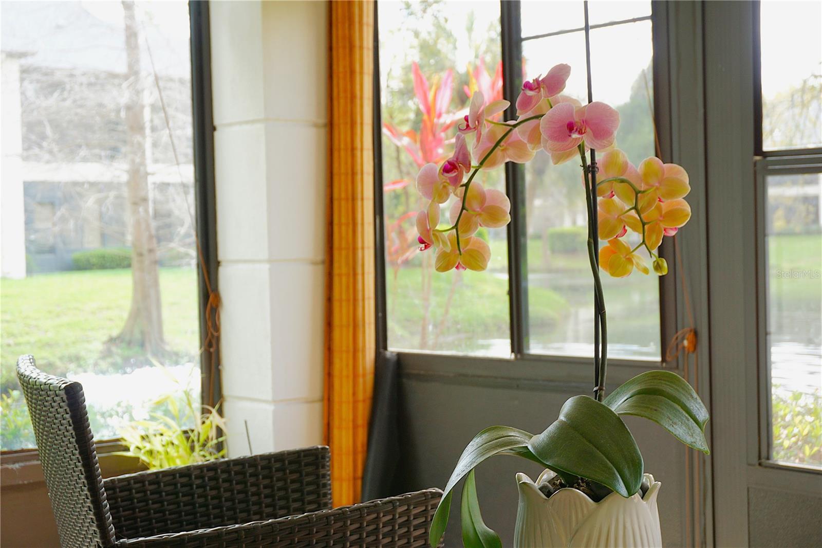 13152 VILLAGE CHASE CIR #1