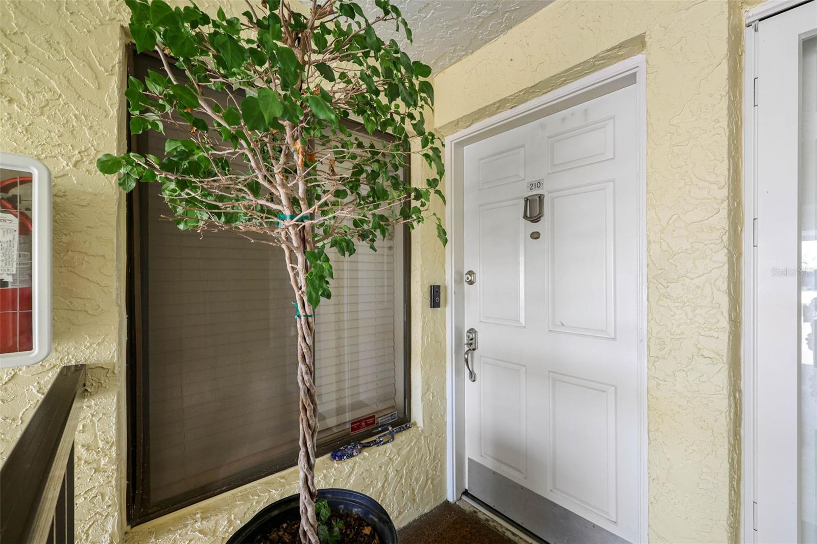 7300 SUNSHINE SKYWAY LN S #210