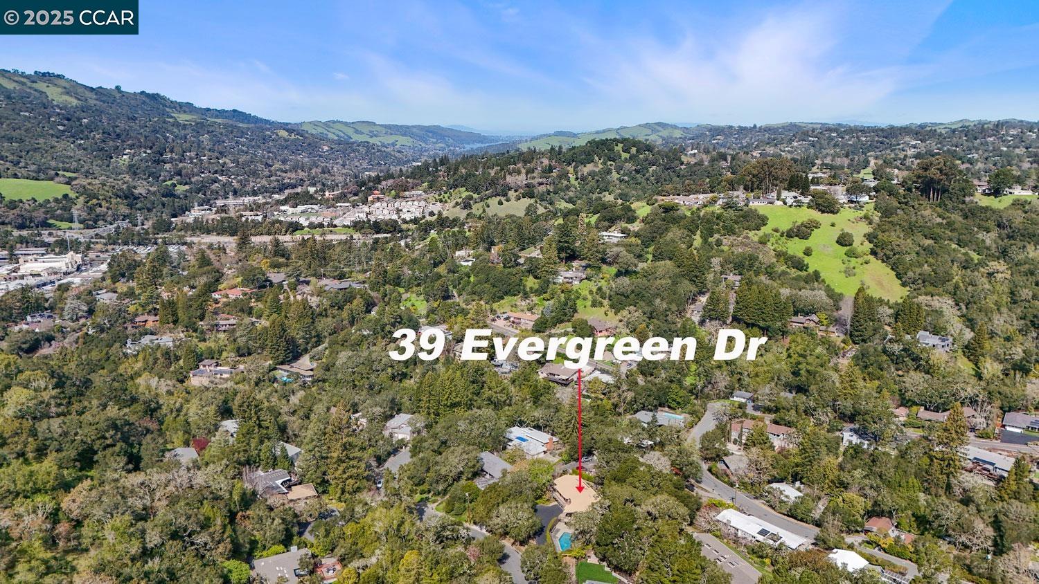 39 Evergreen