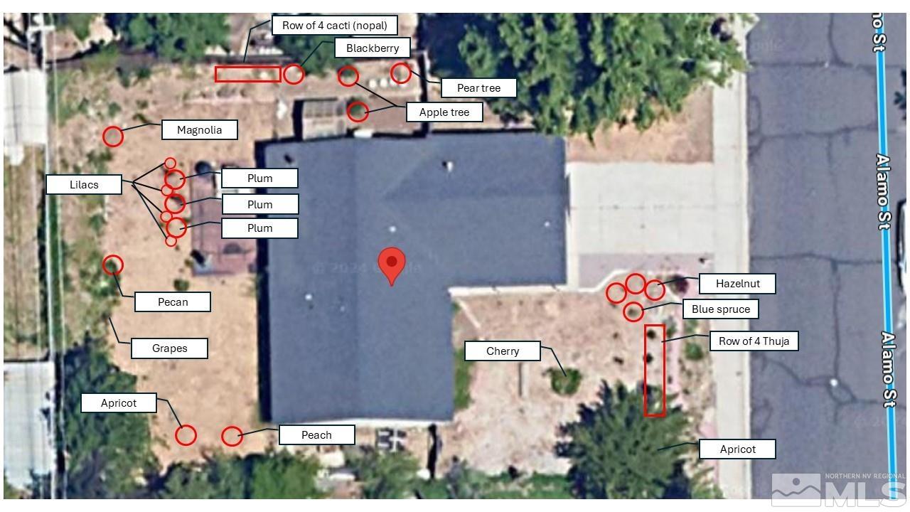 1625 Alamo Drive