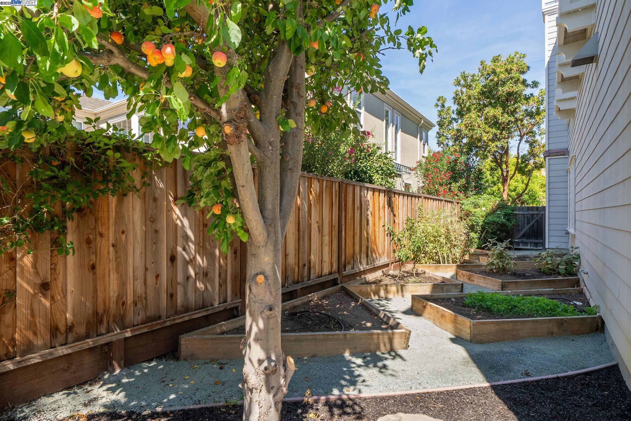 3633 Terrazzo Ct