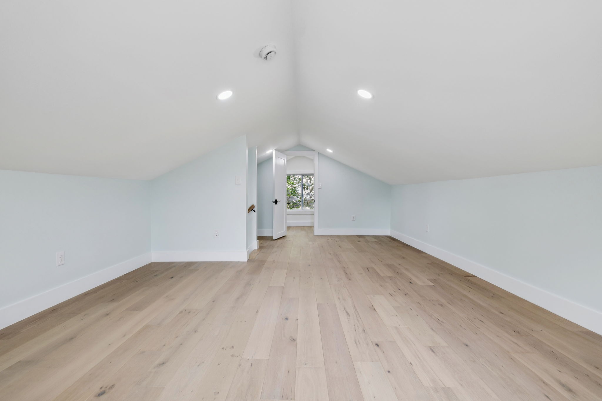509 Veritas St