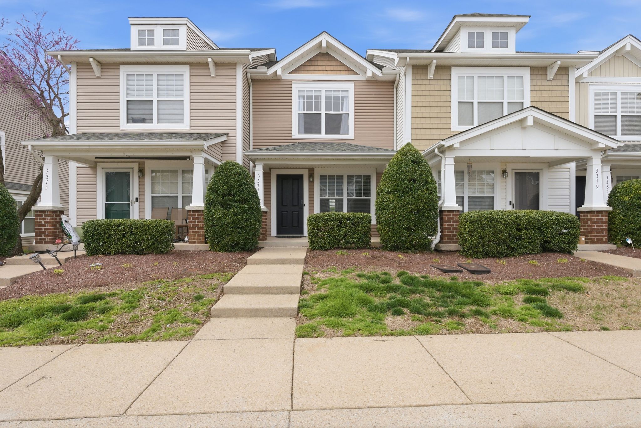 3377 Harpeth Springs Dr