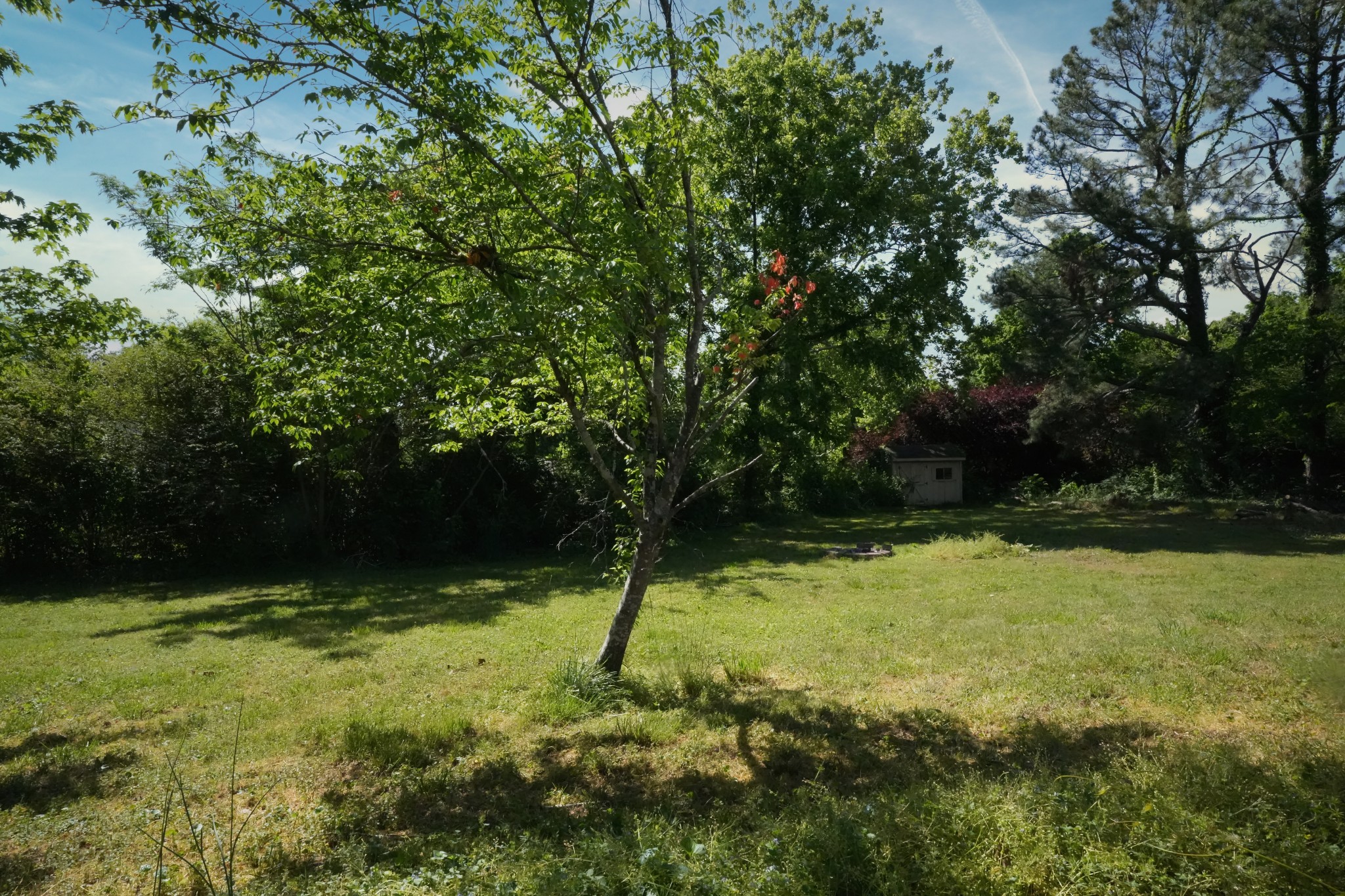 5109 Ashley Dr