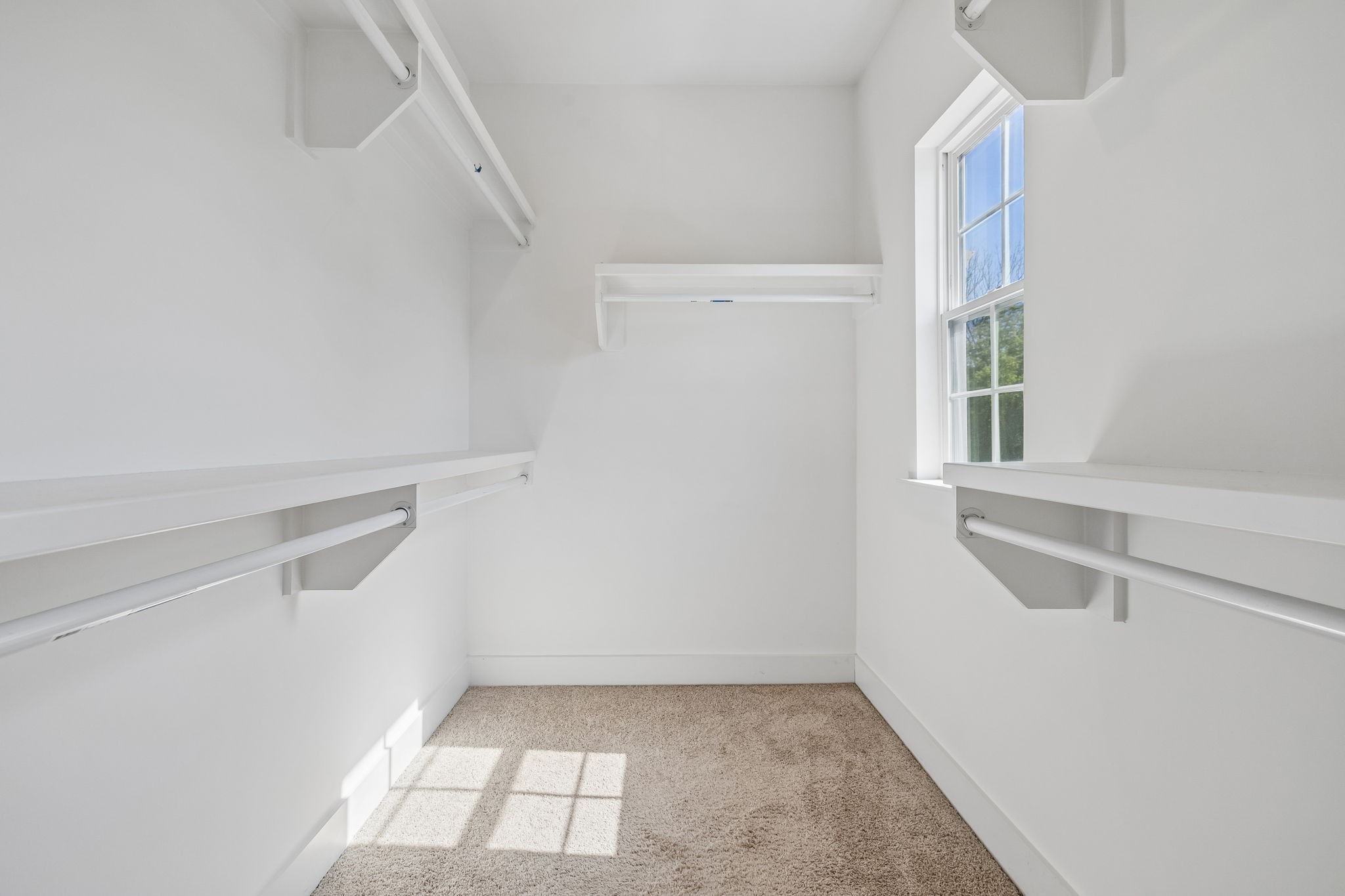 733 Arbor Trace Cir