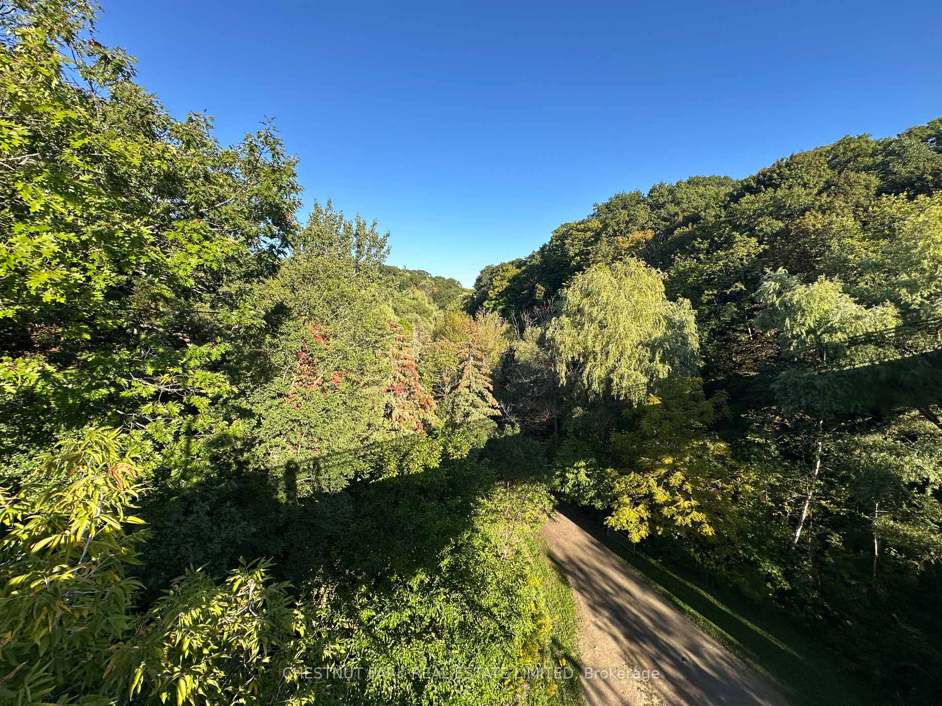 1648 Bathurst Street 5