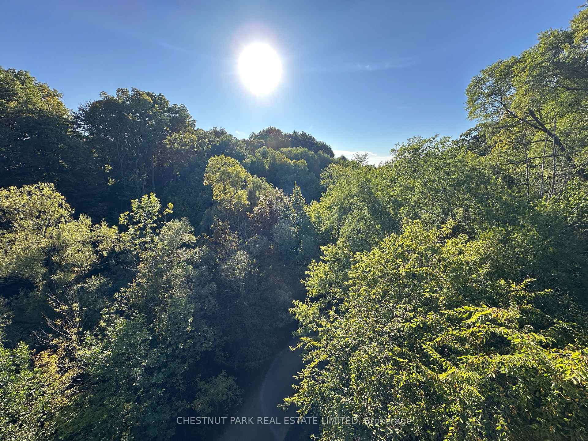 1648 Bathurst Street 5