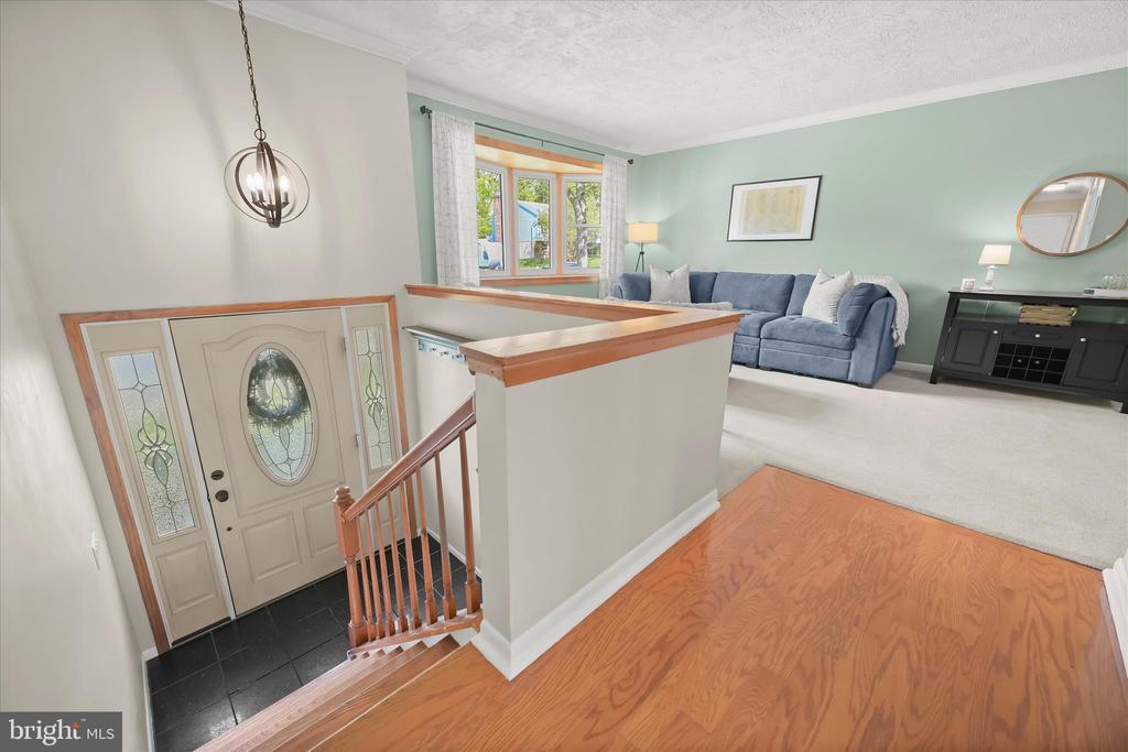 7533 Lemon Tree Ct