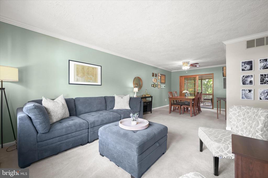 7533 Lemon Tree Ct