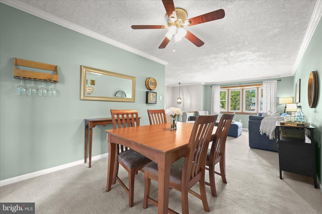 7533 Lemon Tree Ct