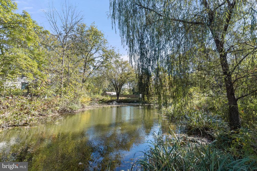 20 PINE BARK CT #20