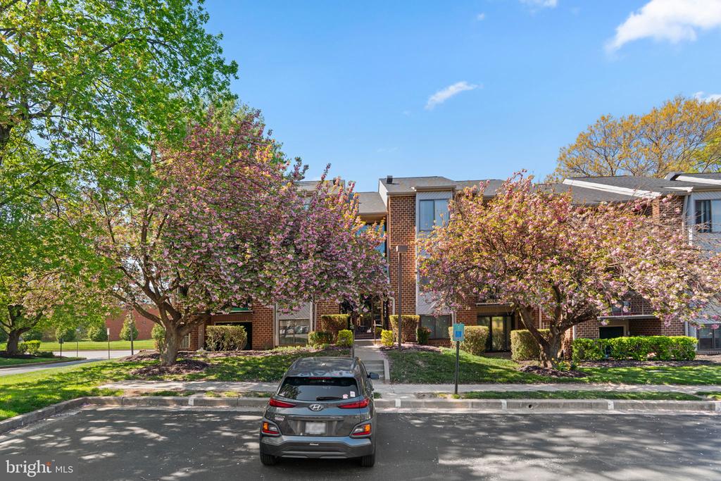 6 Mullingar Ct #202