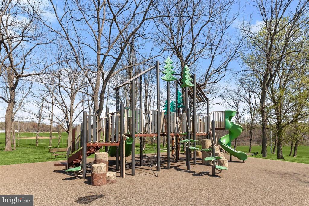 6312 WHITE CEDAR COURT