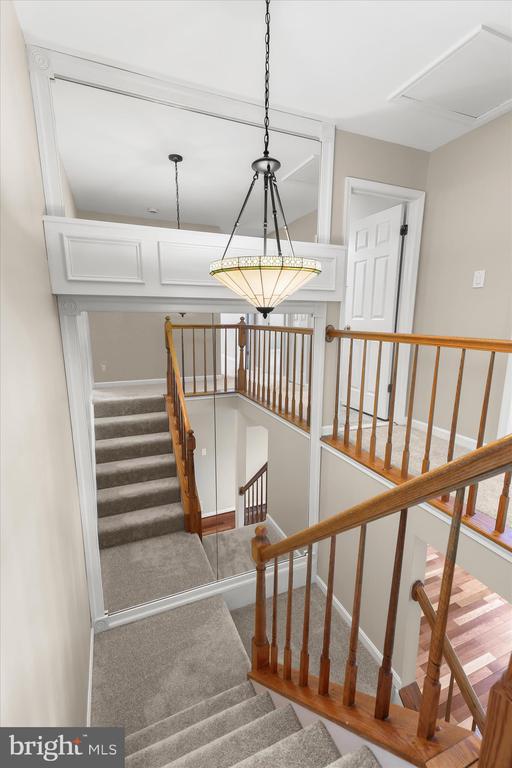 6312 WHITE CEDAR COURT