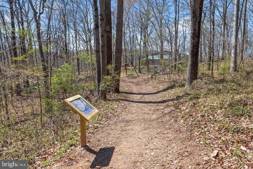 6312 WHITE CEDAR COURT