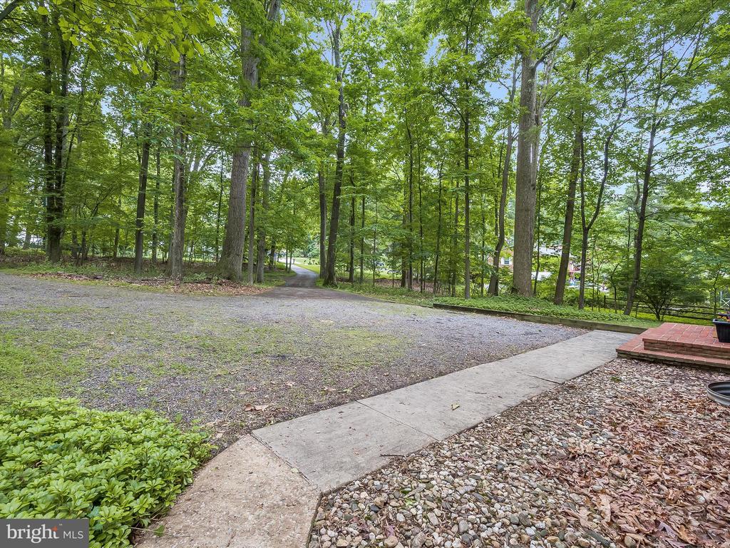 3826 WALT ANN DR