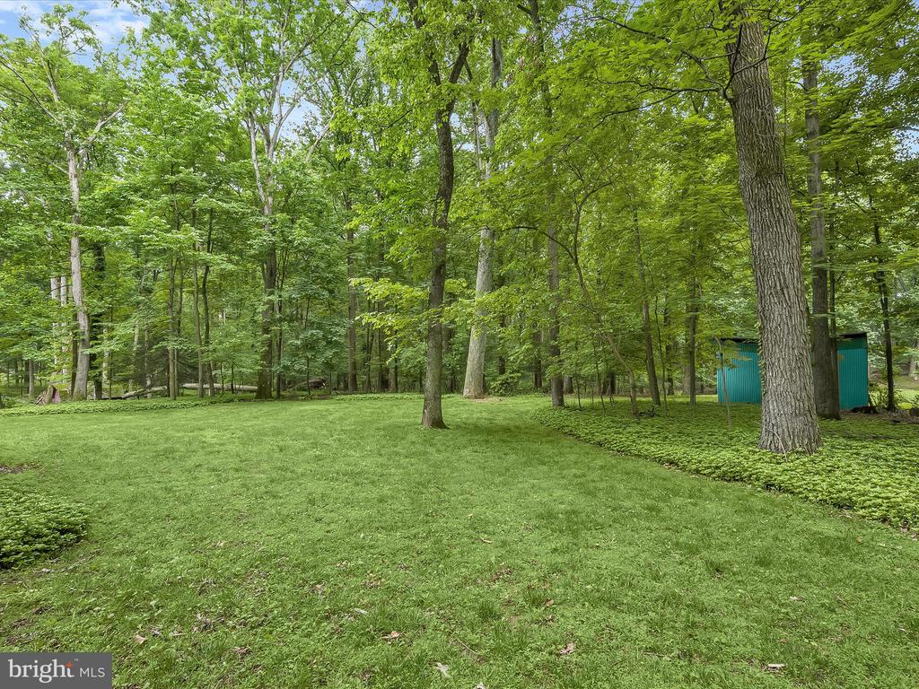 3826 WALT ANN DR