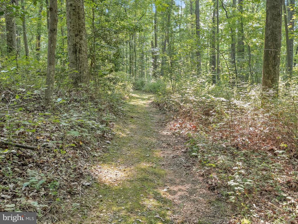 3591 HIPSLEY MILL ROAD