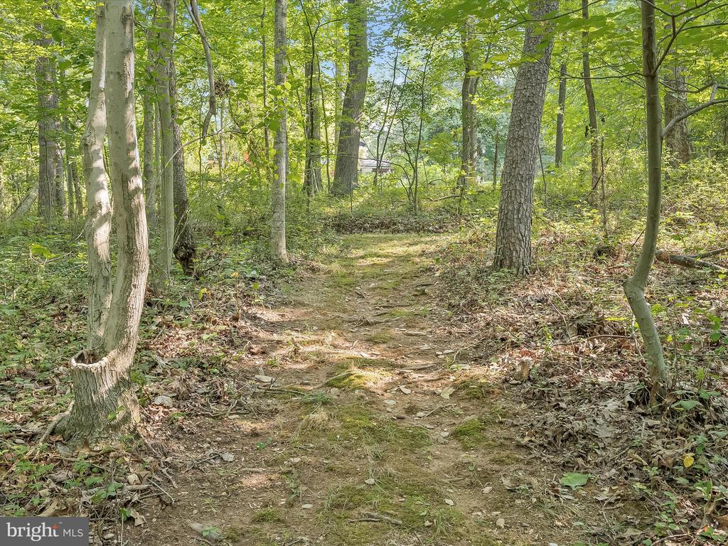 3591 HIPSLEY MILL ROAD