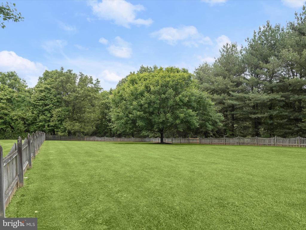 14610 RIGGS MEADOW DR