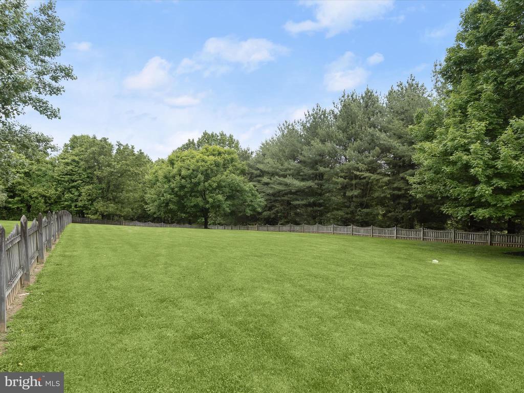 14610 RIGGS MEADOW DR