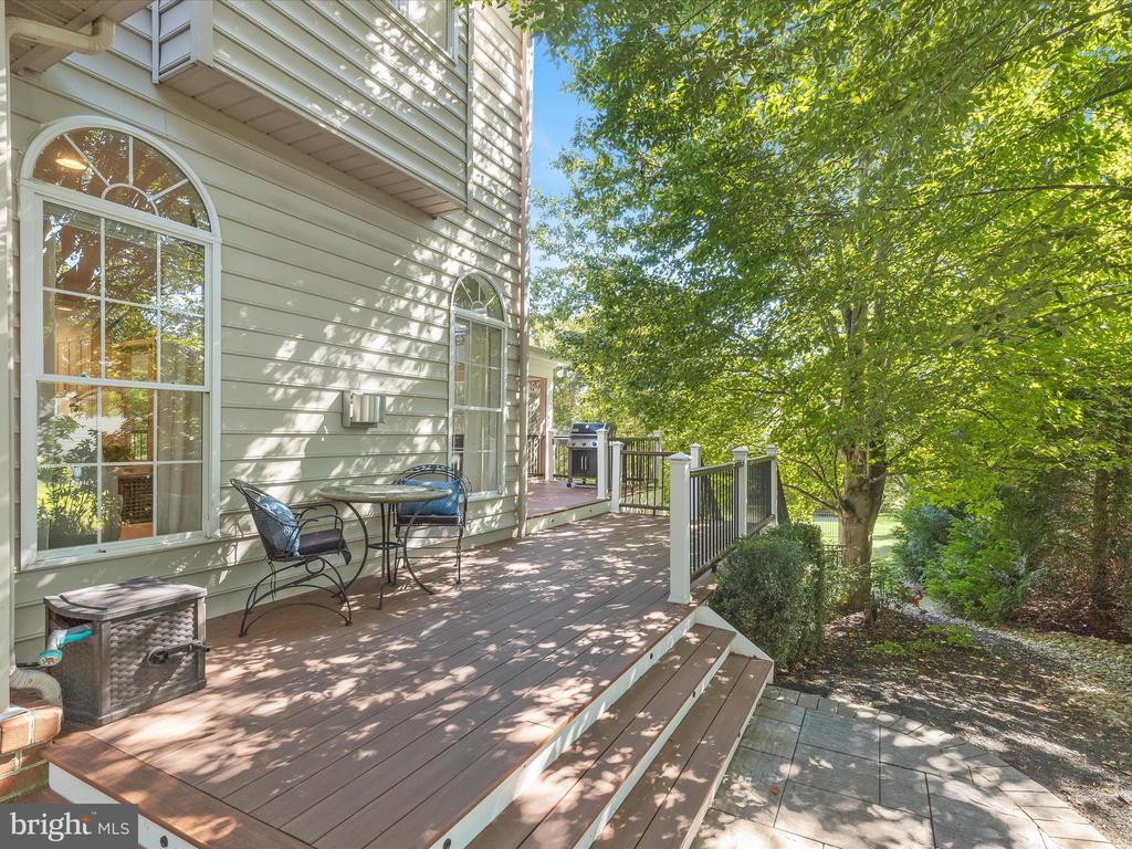 3583 WILLOW BIRCH DR