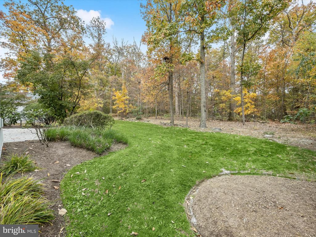 1941 SYCAMORE SPRING CT