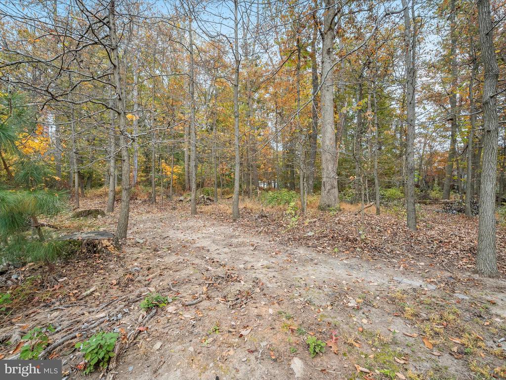 1941 SYCAMORE SPRING CT