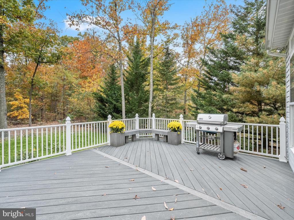 1941 SYCAMORE SPRING CT