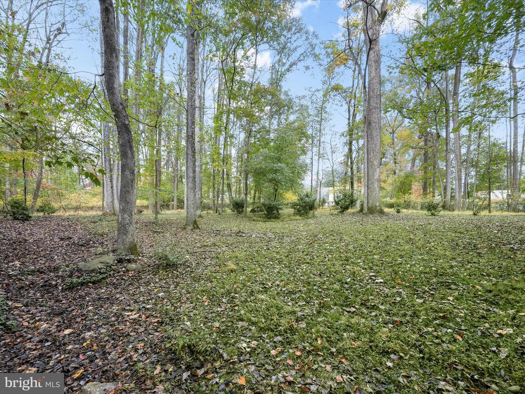 12314 BENSON BRANCH RD