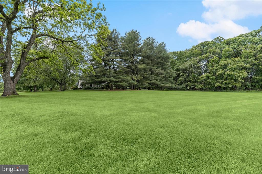13304 RIDGEWOOD DRIVE