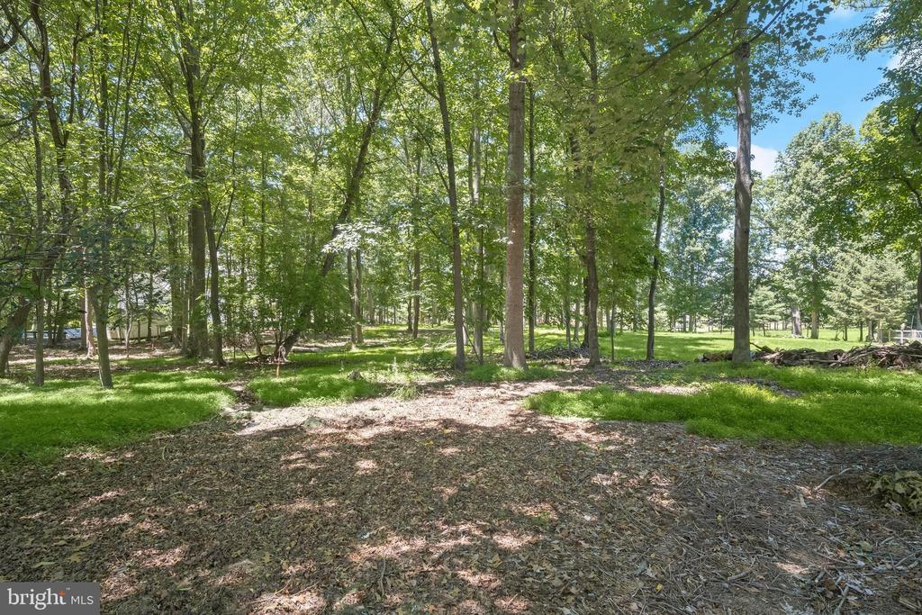16904 OLD SAWMILL ROAD