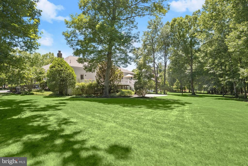 16904 OLD SAWMILL ROAD