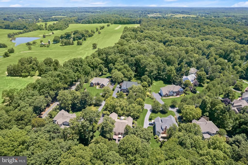 16904 OLD SAWMILL ROAD