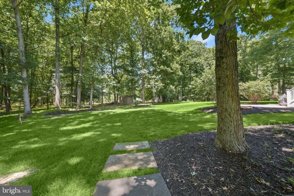 16904 OLD SAWMILL ROAD