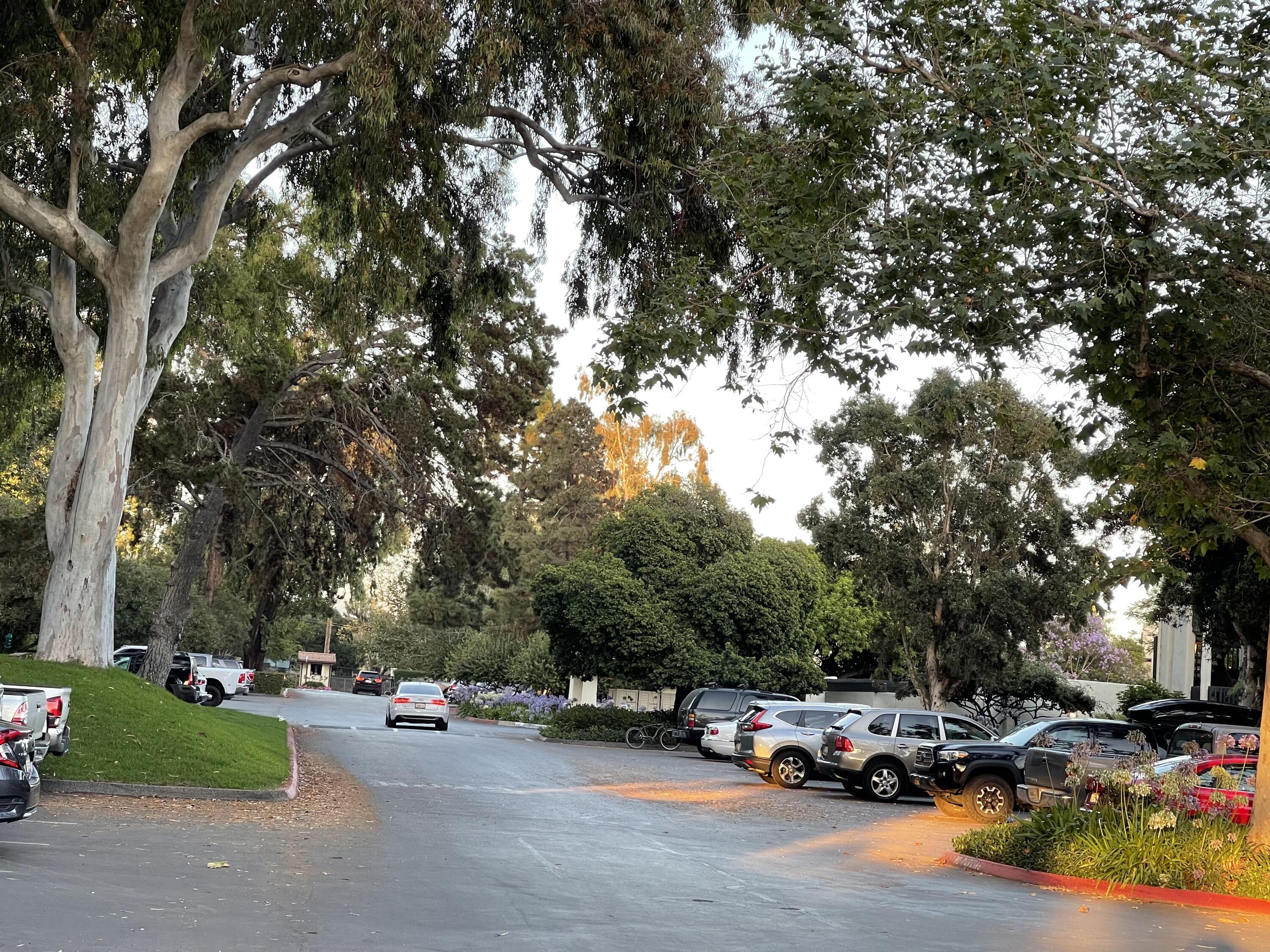 3375 Foothill Road Unit: 311