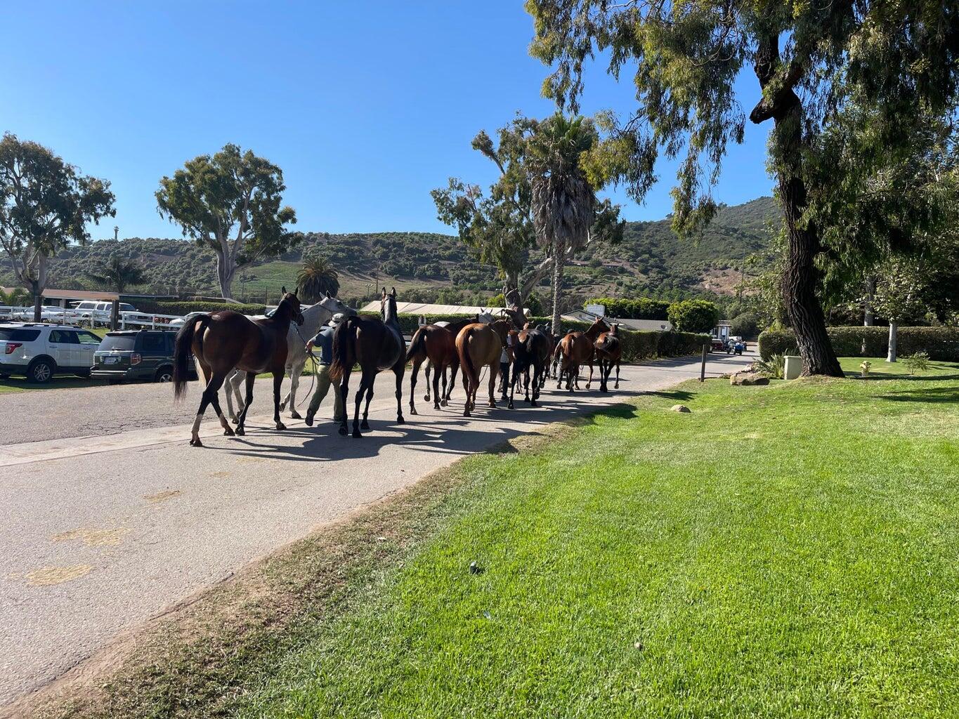 3375 Foothill Road, 311