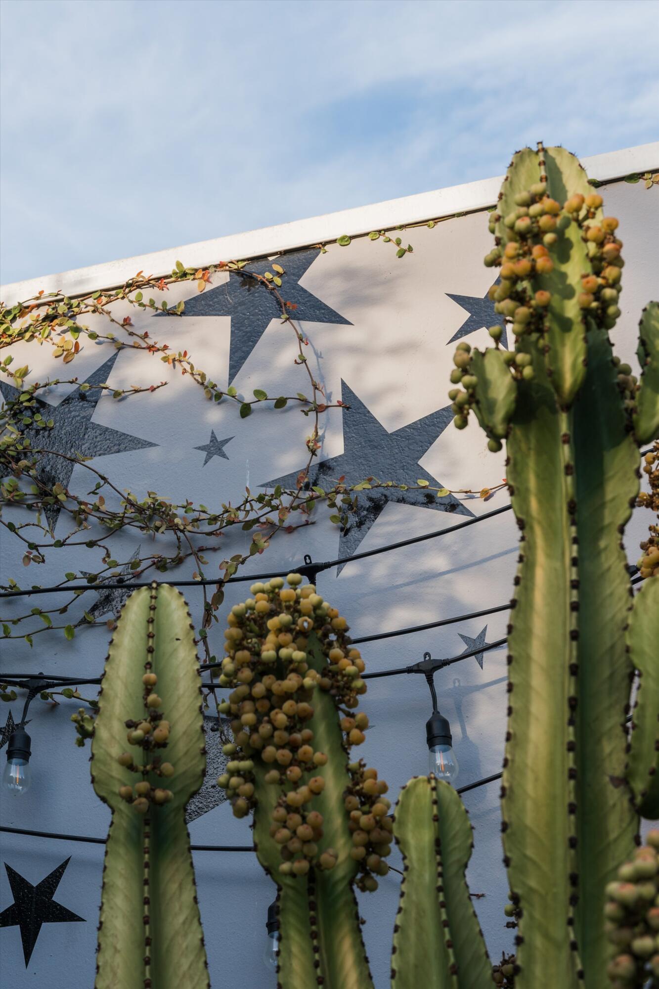 218 Santa Barbara Street Unit: D