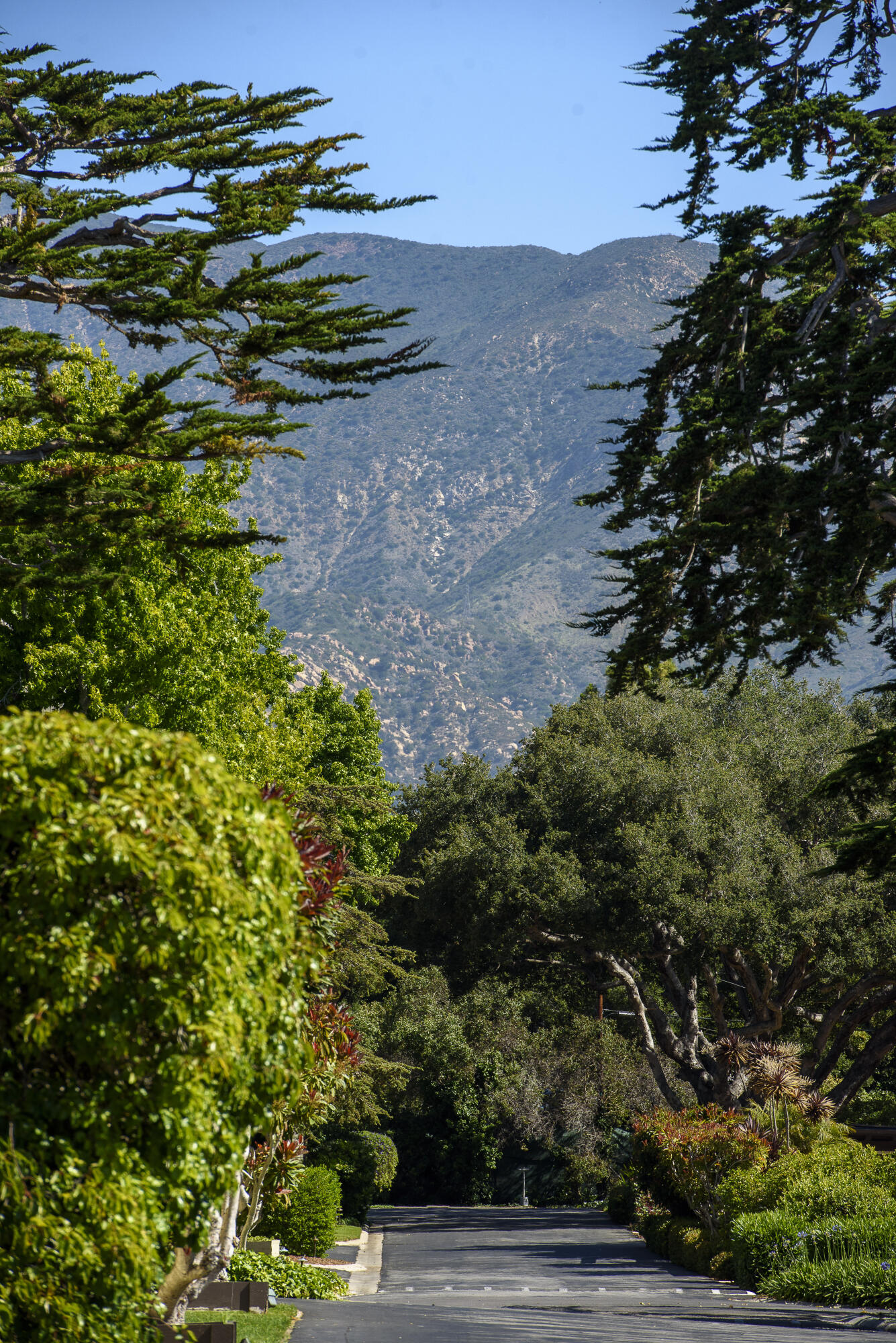 1308 Plaza De Sonadores