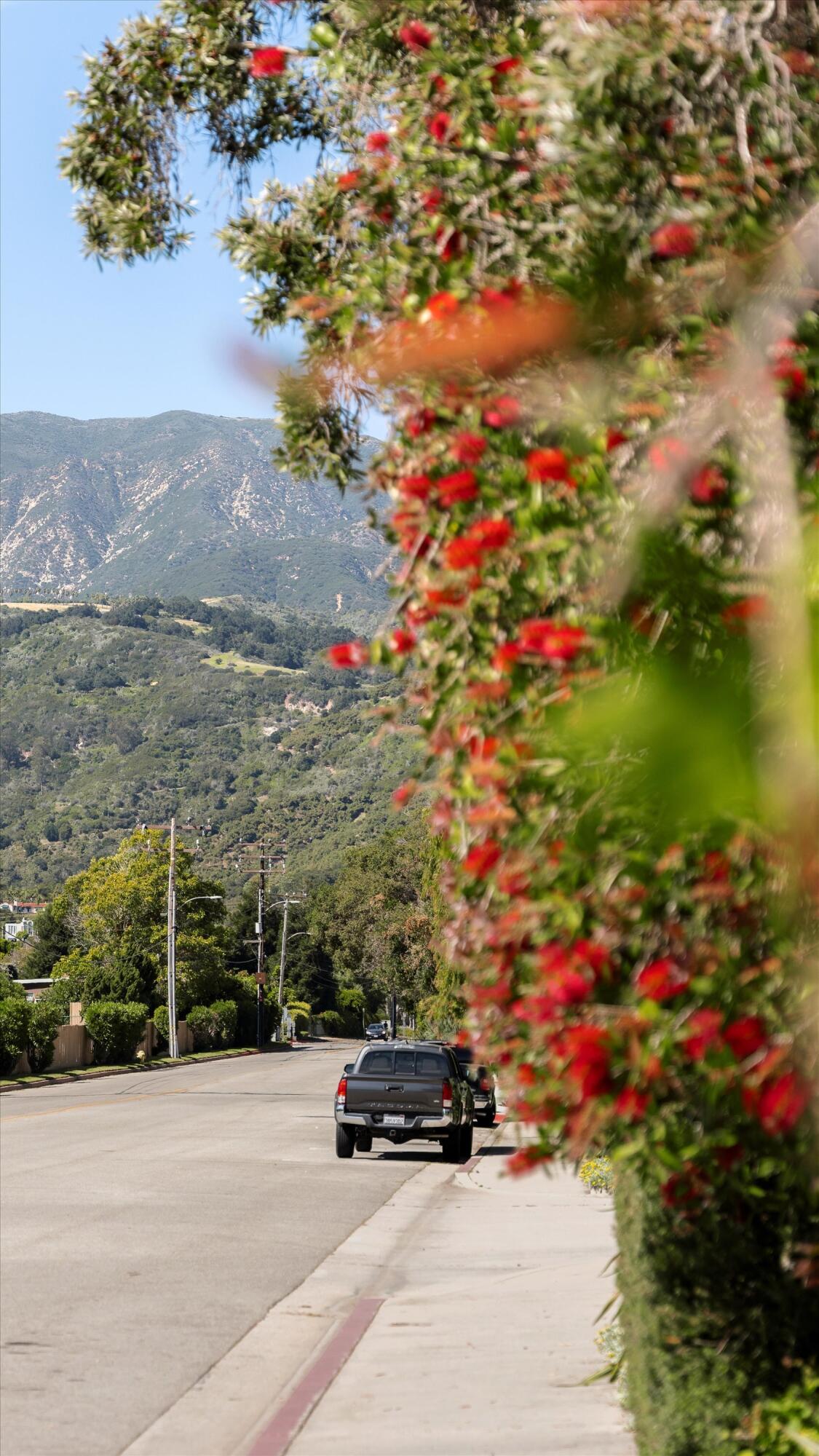 1256 Cravens Lane Unit 3