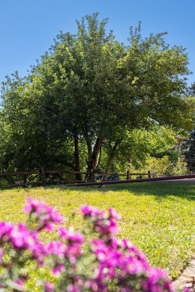 11080 W Saratoga Place