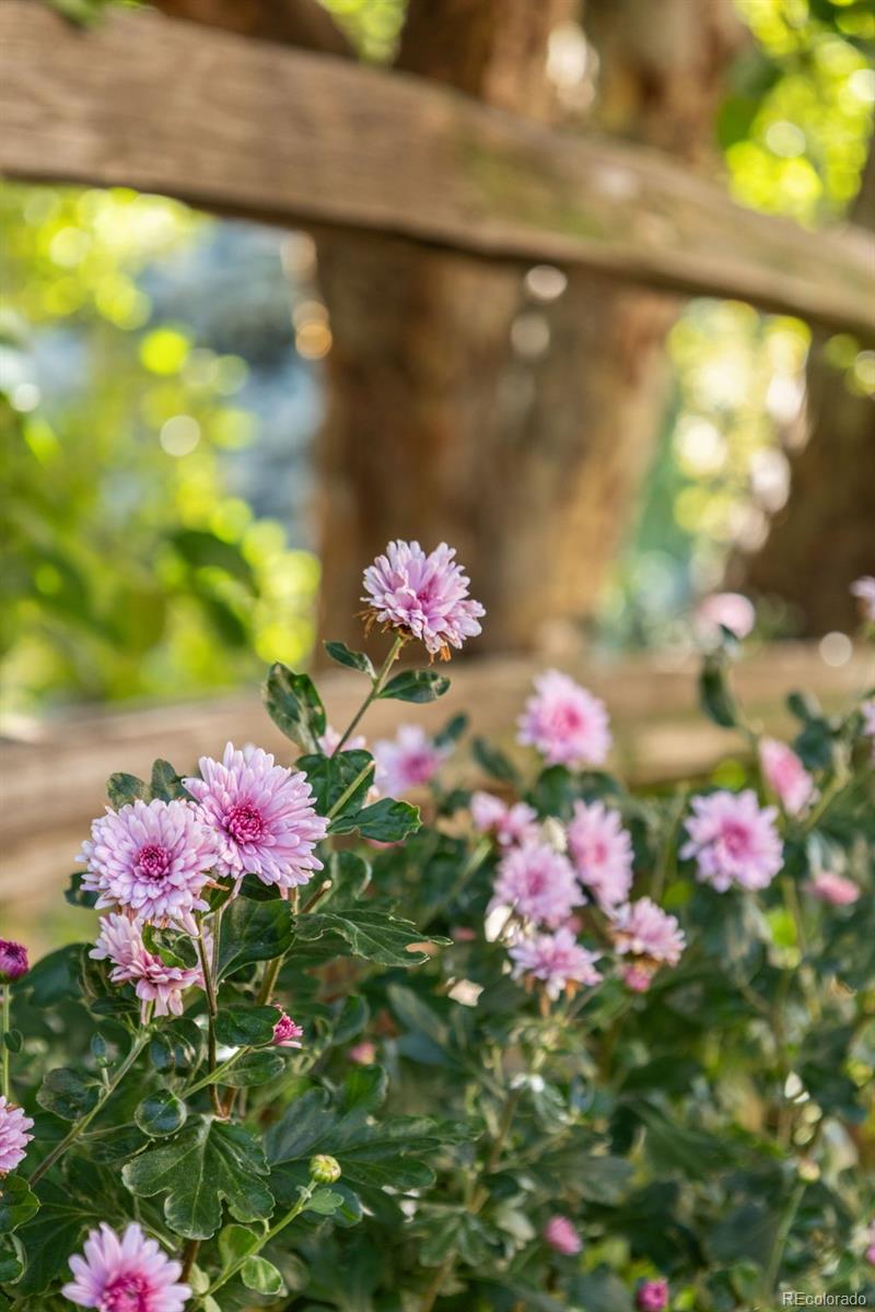 11080 W Saratoga Place